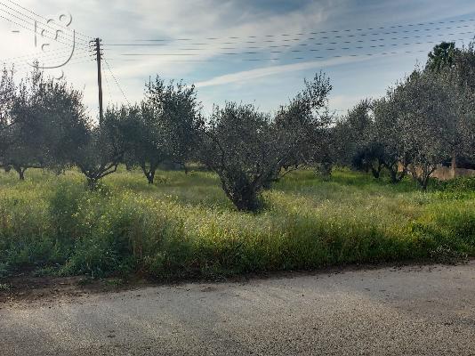 PoulaTo: Πωλείται αγροτεμάχιο στο Μελίσσι, Δήμου Ξυλοκάστρου.